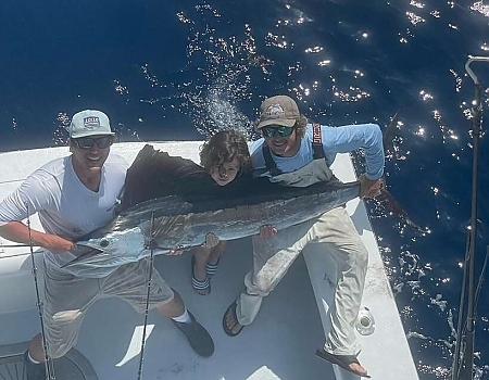  Top view of fish caught on boat